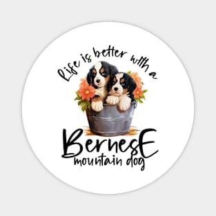 Bernese mountain dog Magnet